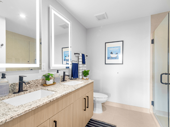 Double sink vanities and led mirrors in primary baths*